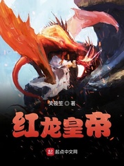 红龙皇帝小说封面